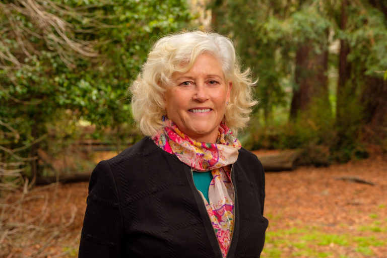 N. Louise Glass