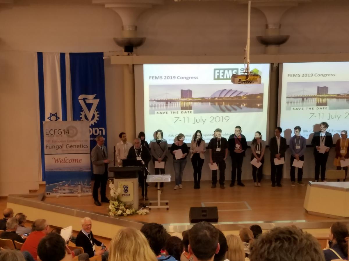 ECFG14