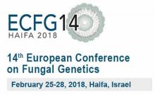 ECFG14
